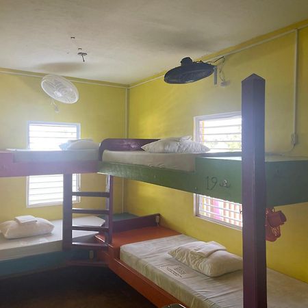 Travellers Palm Backpackers Vandrerhjem Caye Caulker Eksteriør bilde