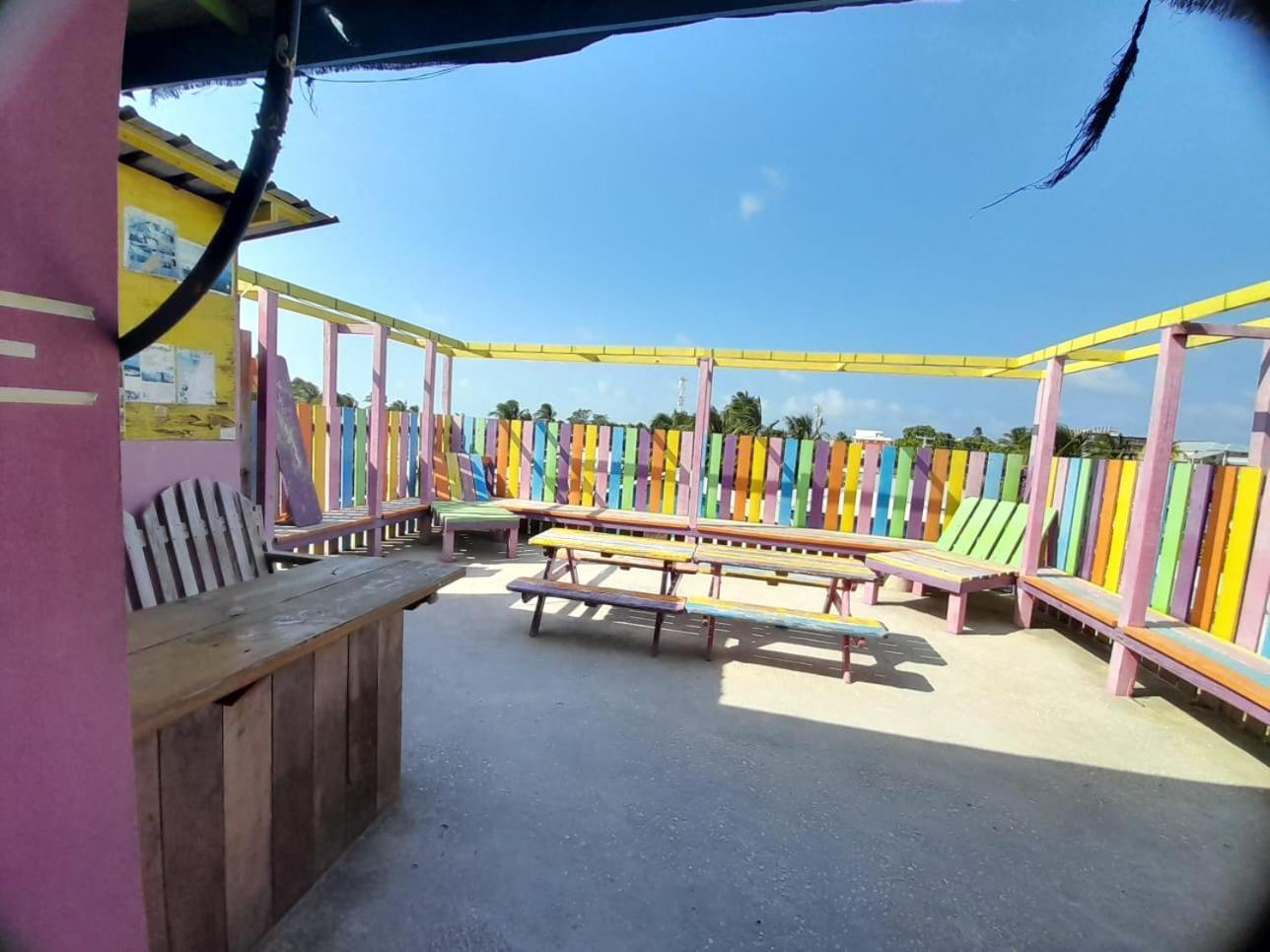Travellers Palm Backpackers Vandrerhjem Caye Caulker Eksteriør bilde