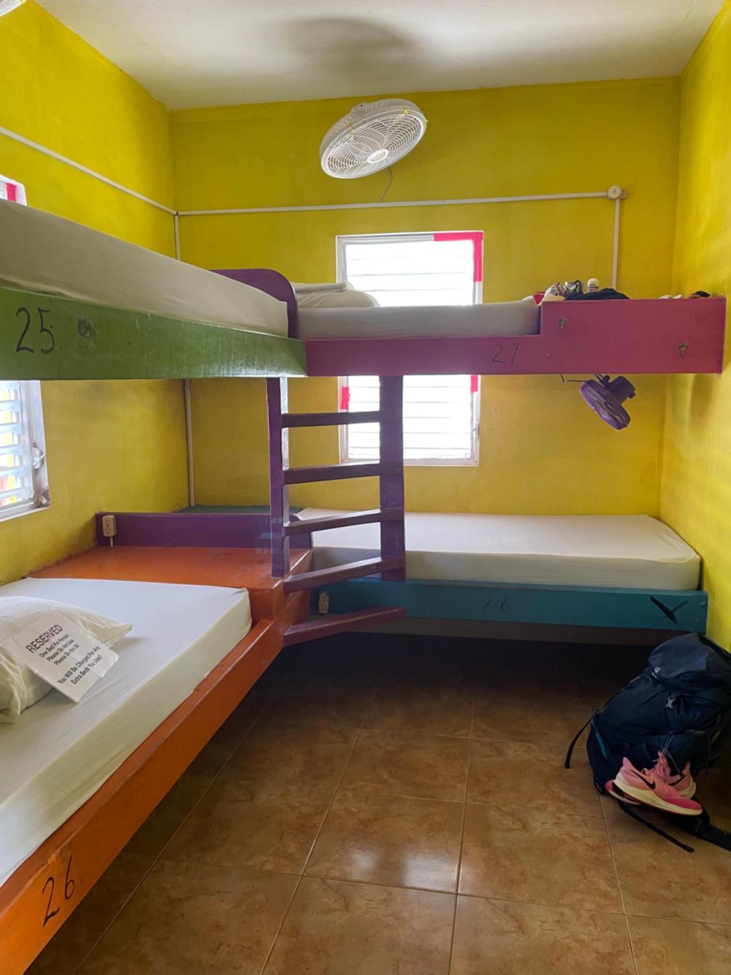 Travellers Palm Backpackers Vandrerhjem Caye Caulker Eksteriør bilde