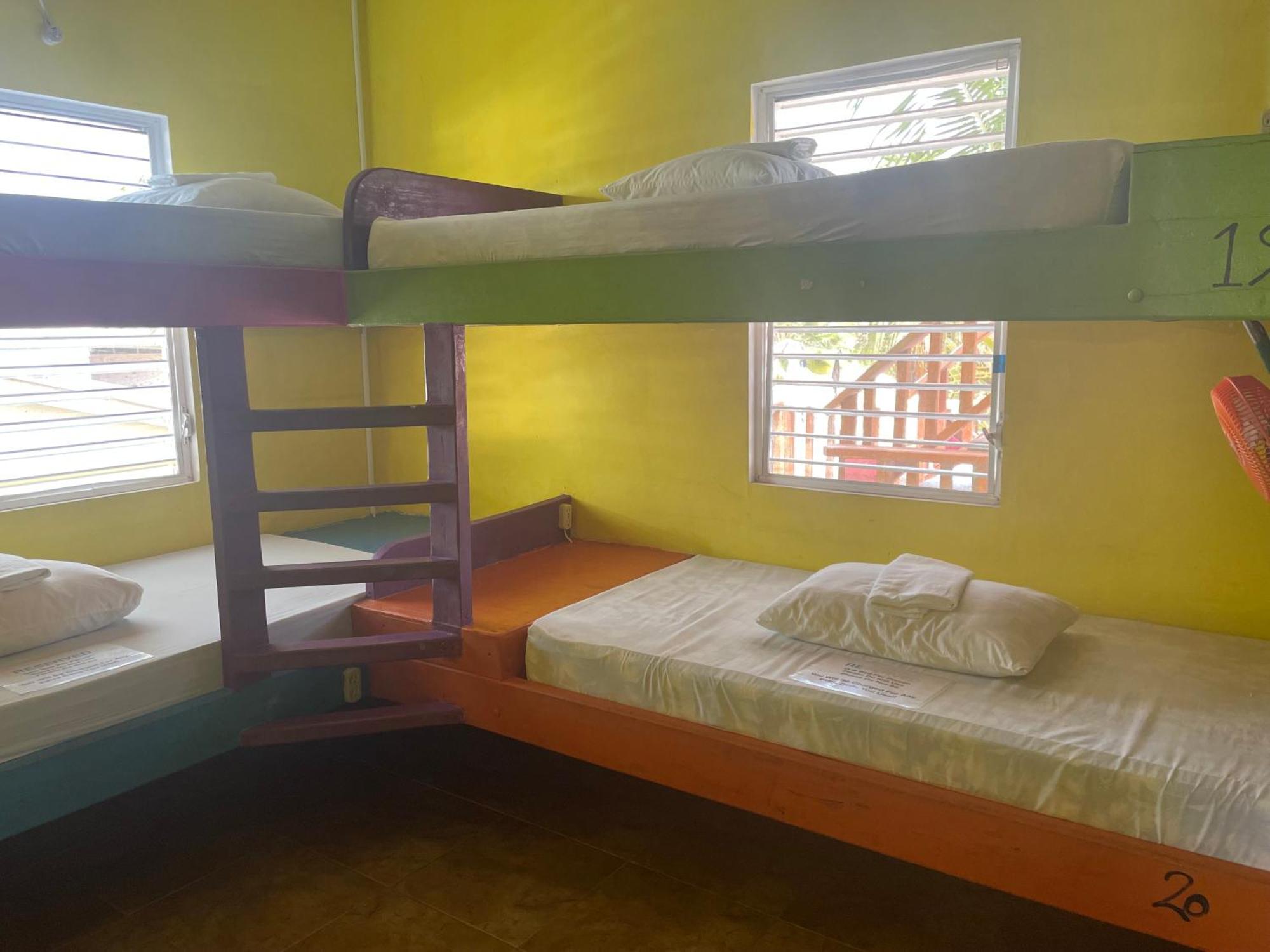 Travellers Palm Backpackers Vandrerhjem Caye Caulker Eksteriør bilde