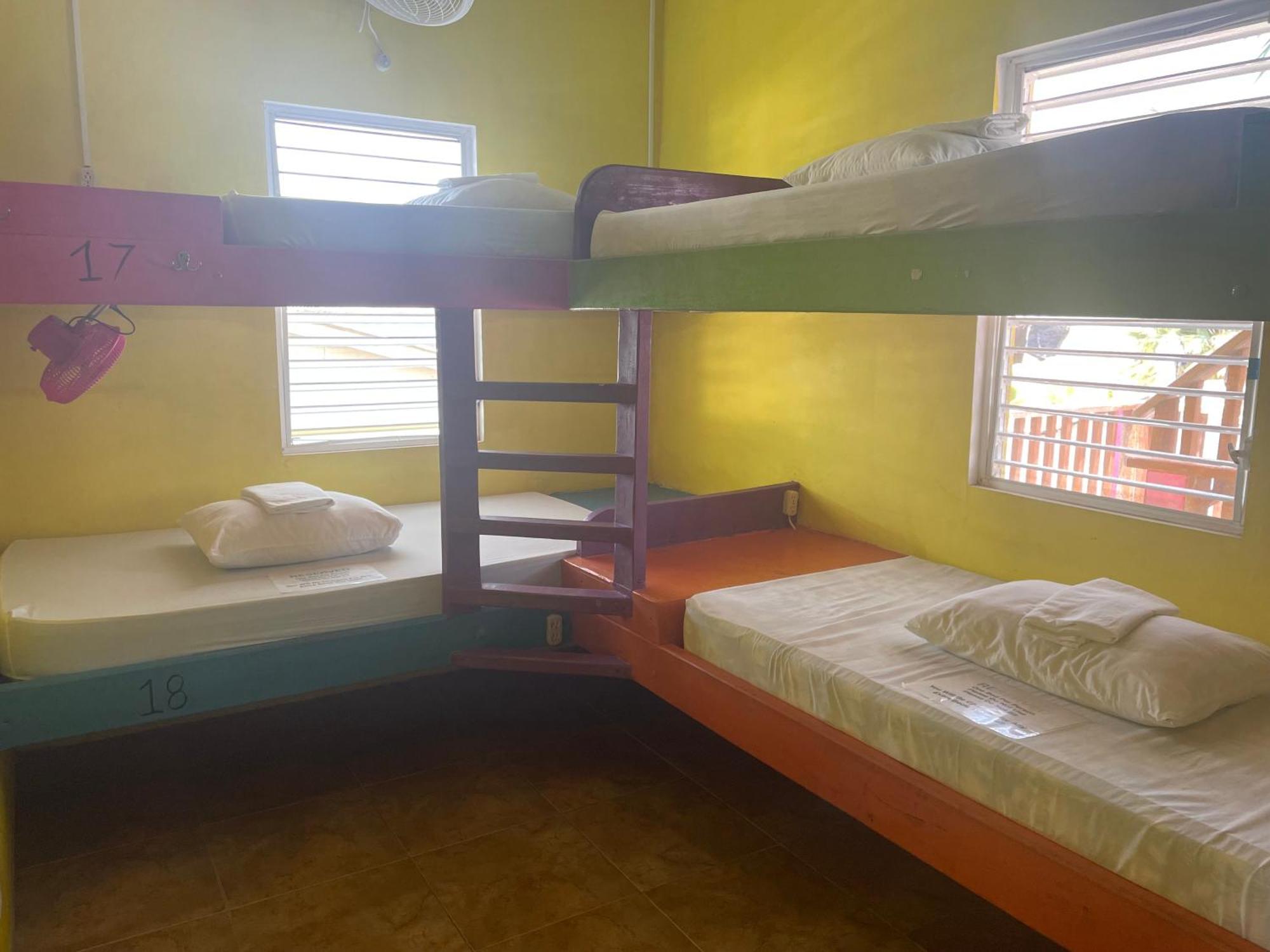 Travellers Palm Backpackers Vandrerhjem Caye Caulker Eksteriør bilde
