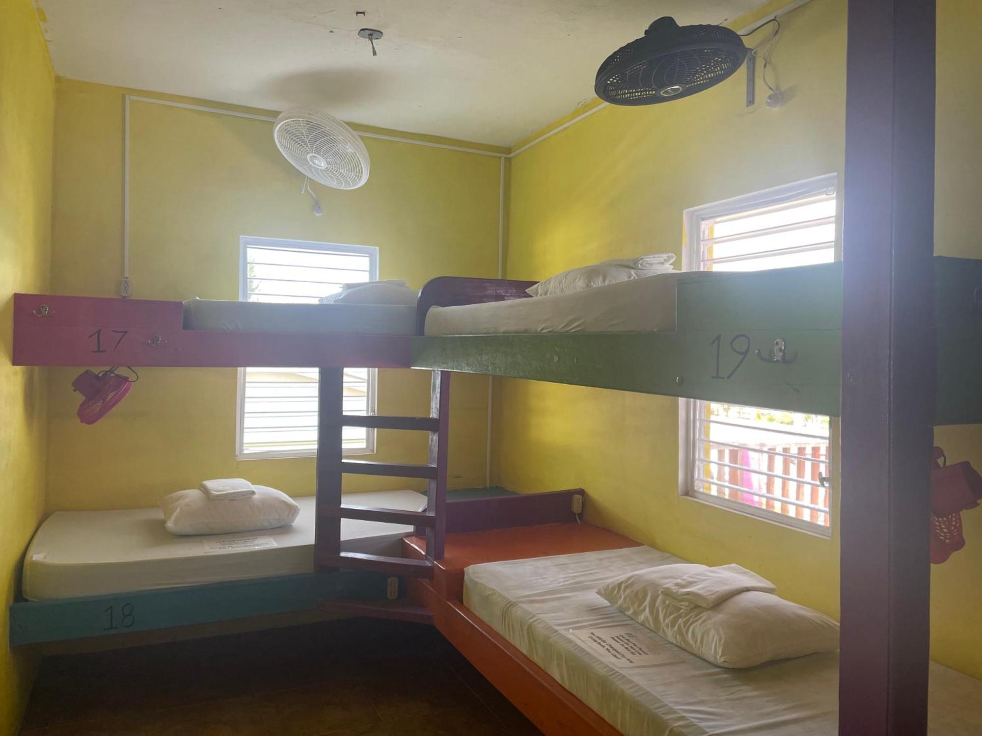 Travellers Palm Backpackers Vandrerhjem Caye Caulker Eksteriør bilde