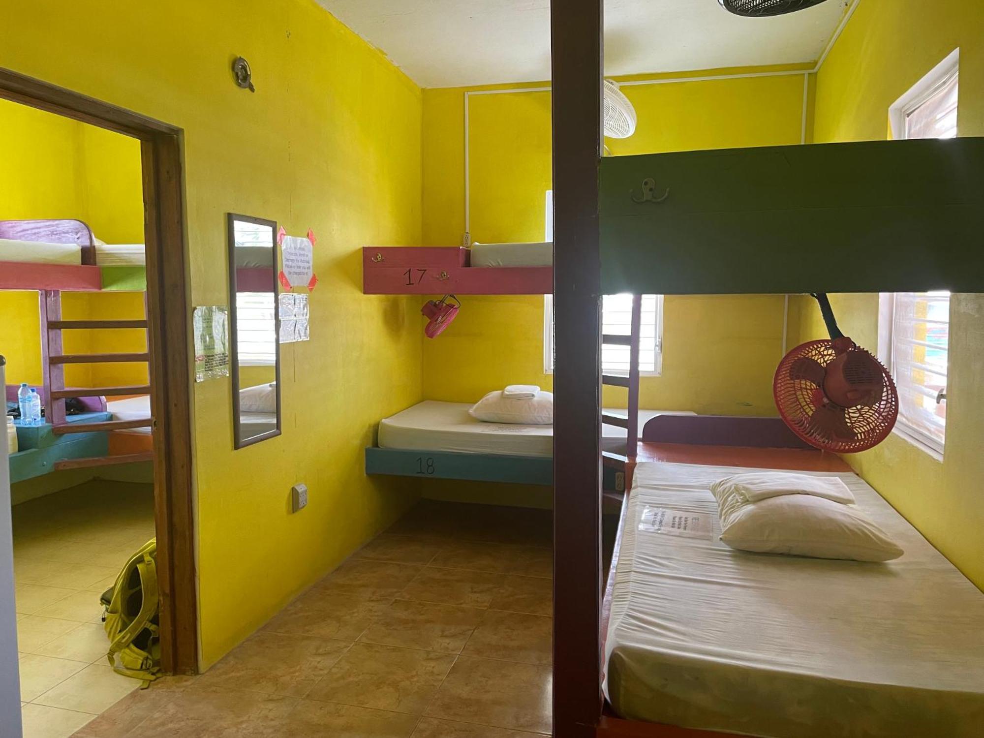 Travellers Palm Backpackers Vandrerhjem Caye Caulker Eksteriør bilde